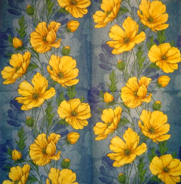 056 Daffodils - 3-ply (weiß/blau) - Ihr